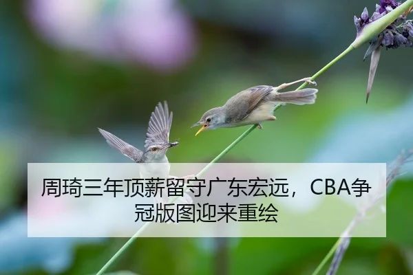 周琦三年顶薪留守广东宏远，CBA争冠版图迎来重绘