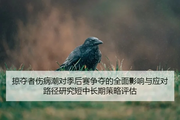 掠夺者伤病潮对季后赛争夺的全面影响与应对路径研究短中长期策略评估
