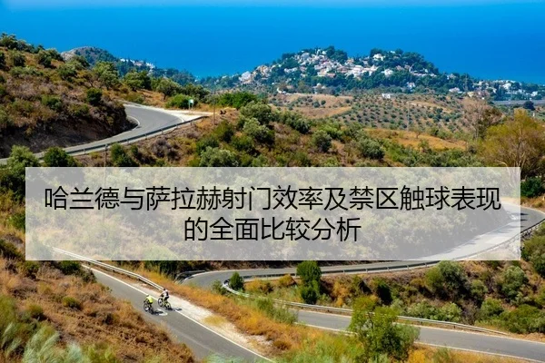 ha-lan-de-yu-sa-la-he-she-men-xiao-lv-ji-jin-qu-chu-qiu-biao-xian-de-quan-mian-bi-jiao-fen-xi-2-249.jpg